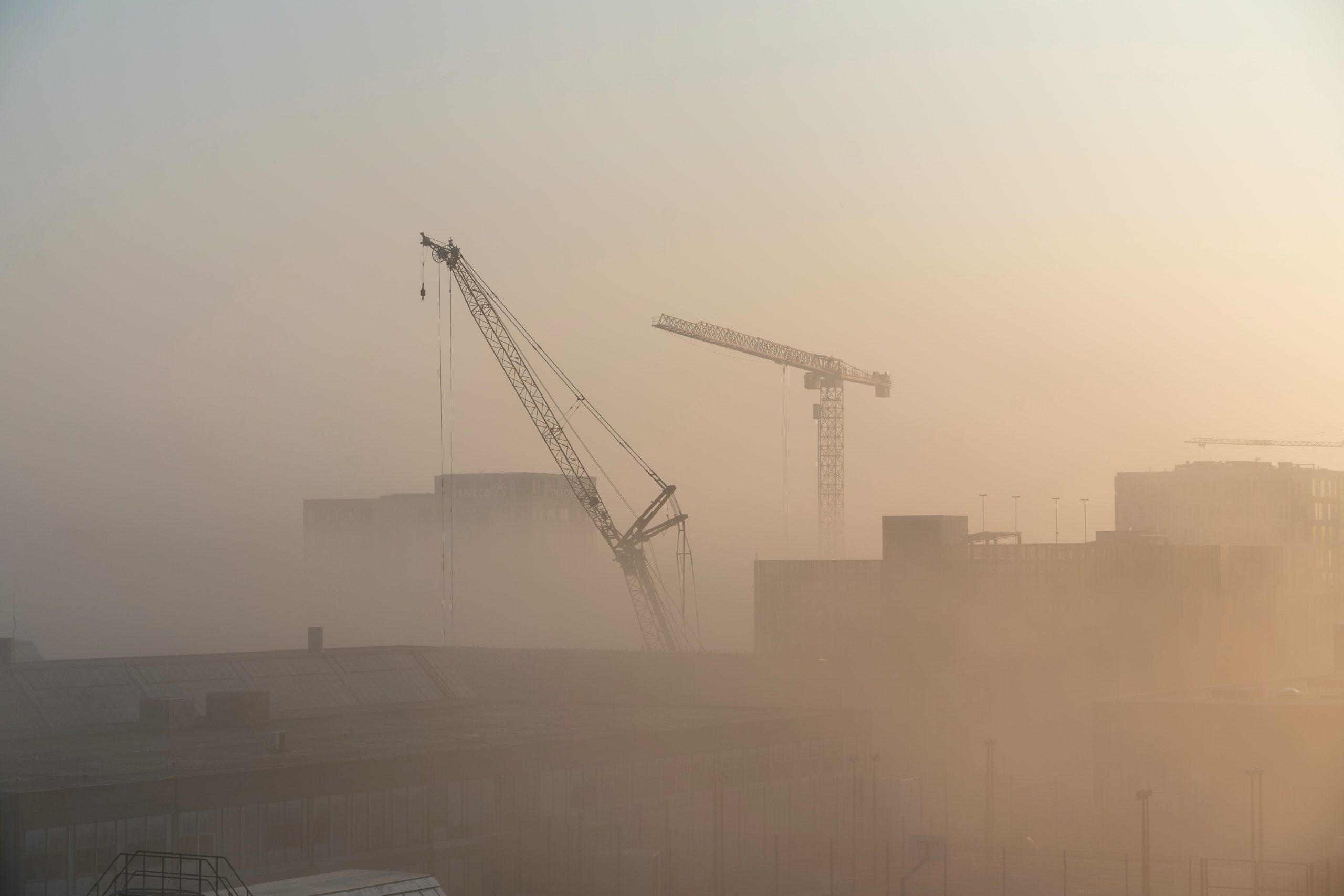 A picture of cranes in a dusty landscape